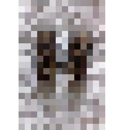 Клипсы.(пара)