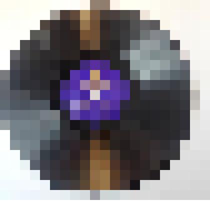 Грампластинка «Песни в исполнении Краснознаменного имени А.В. Александрова ансамбля песни и пляски Советской Армии»