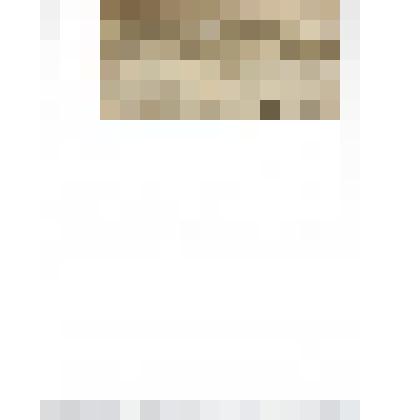 Открытка для стереоскопа "Виды России. Пензенское художественное училище основателя,губернатора,генерала-лейтенанта Н.Д.Селивёрстова"