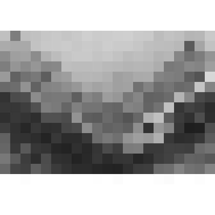 Фермерский дворец. Уборная императрицы. Потолок. Фрагмент