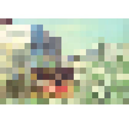 Фото-плакат.Цветы в городском сквере