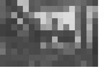 Фото. Похороны В.В. Маяковского. Траурный митинг во дворе Дома Федерации объединений советских писателей. На балконе А.В.Луначарский и др