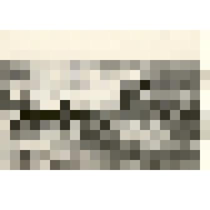 Фотография: сев зерновых в Плотниковском совхозе Каменского района Алтайского края