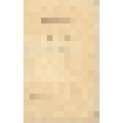 Документ. Дипломный проект Л.С.Термена "Установка для электрического дальновидения"