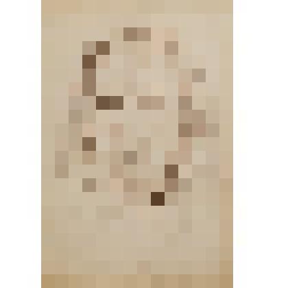 Набросок «Елена из Леушкина»