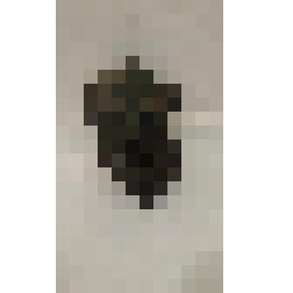 Портрет писателя Андрея Белого