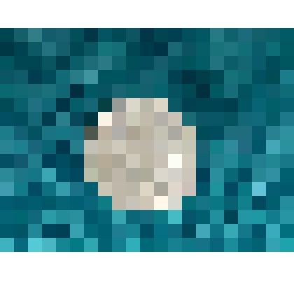 Монета разменная 3 копейки