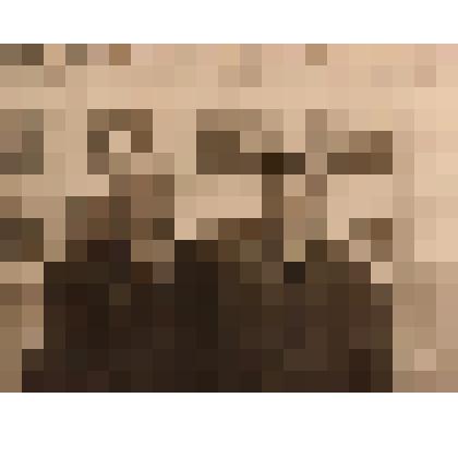 Фотография. Парный портрет. Божко Д. И. и Ковалев А. И., слесари Волоконовского РМЗ