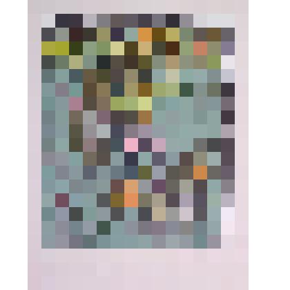 Медведи на льду