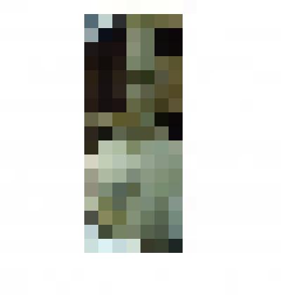 Ваза для цветов семьи  Кирлиан