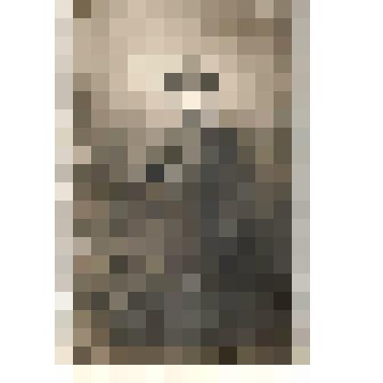 Ф/чб. Ученик Покровской мужской гимназии (на обороте Михайлов). Покровск. Октябрь 1915