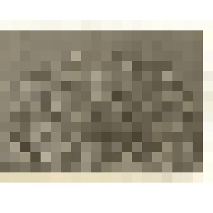 Фотография: Сурмин Сергей Александрович, участник обороны Ленинграда (в первом ряду слева)