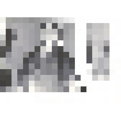 Фотография: Полубоярова Валентина Алексеевна, передовик и ветеран труда Каменской мебельной фабрики