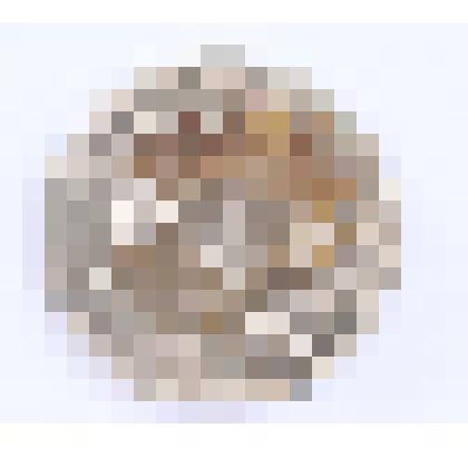 Монеты РСФСР. 20 копеек. Российская империя