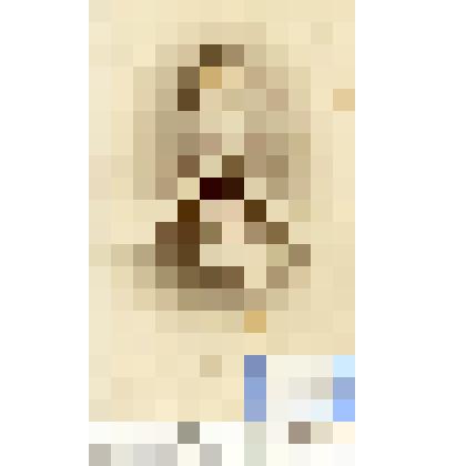 Фотография черно-белая. Евплов Максим Амвросиевич