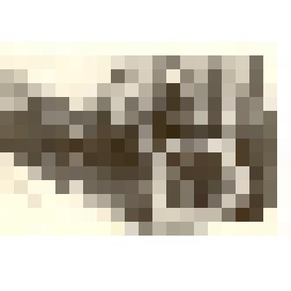 Фотография: колонна учащихся СПТУ-19 на демонстрации 7 ноября 1969 года в г.Камень-на-Оби