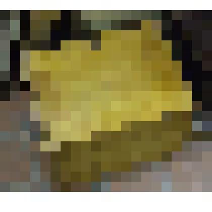 Микроскоп стереоскопический МБС-1