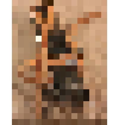 Конек детский двухполозный. От пары, из коллекции бытовых вещей семьи Бугаенко Павла Андреевича, профессора филологического факультета Саратовского государственного университета