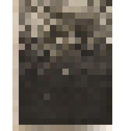 Фотография. Найденов Василий Алексеевич, капитан Красной Армии