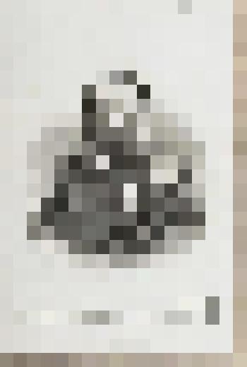 Портрет М.Т. Лорис-Меликова. Контрэпрёв на тонкой бумаге