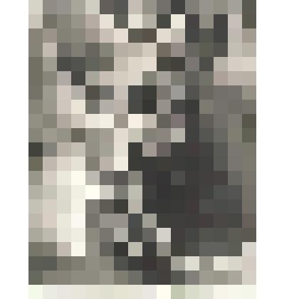 Фотографии. Фото. Встреча с М.С. Горбачевым на Первомайской площади в г. Абакане. Шушеначев И.В. в первом ряду первый справа