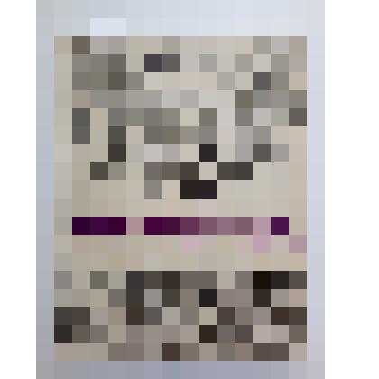 Книга "Черёмуха", Ф.И. Васильев