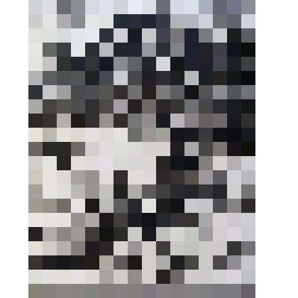 В Тарусской стороне. 1 вариант