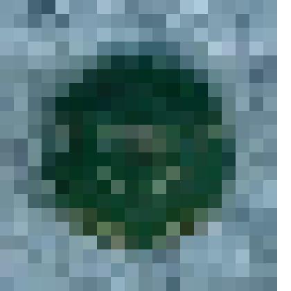 Пуговица зелёная