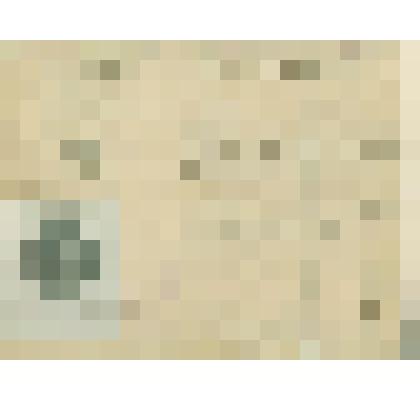 Удостоверение № 917 на имя Томского Ильи Ивановича