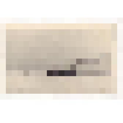 Фотопозитив. Ледокольный пароход «Малыгин» в Ледовитом океане