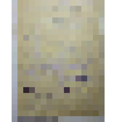 Анкета раскулаченного гражданина Корюкина Пантелеимона Васильевича