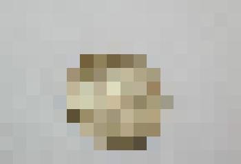 Монета. 10 копеек