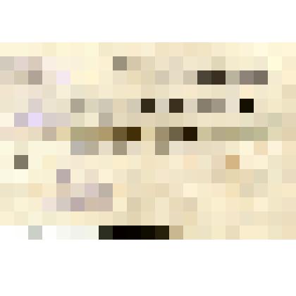 Выписка из личного дела об образовании Круковского Анатолия Владиславовича