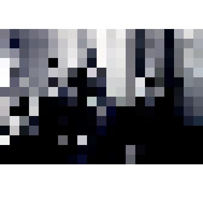 Негатив. Приезд в ст. Вешенскую финского писателя Марти Ларни