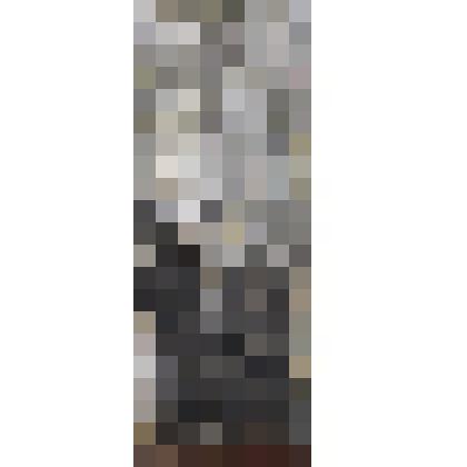 Мужчина с собакой