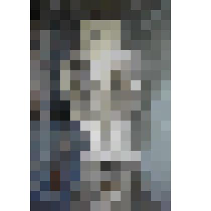 Сова полярная