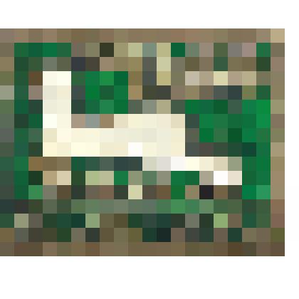 Значок "Королева спорта. Тара-94"