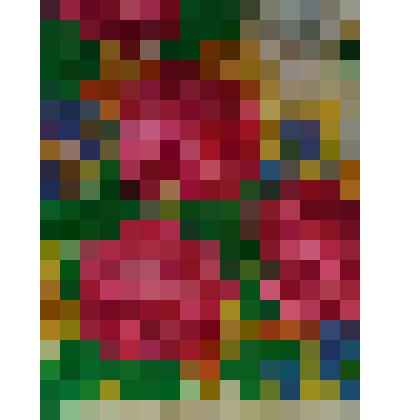 Павловопосадская шаль (платок)