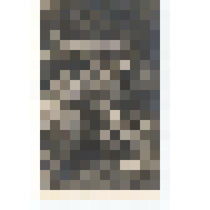 Фото/чб. Шофера командования штаба 148-й Черниговской дивизии (справа подполковник Кузьмин В.П.?) / ВОВ. Чехословакия. 1945