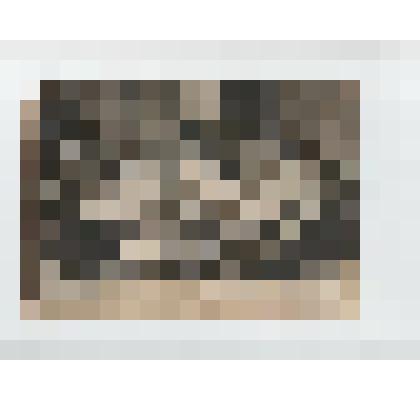 Ф/чб/к. Саратовские курсы марксизма-ленинизма (группа студентов у здания Высшей Коммунистической сельскохозяйственной школы на Коммунарной пл, 3. 1 ряд 3 справа Клочков М.П.). 1935