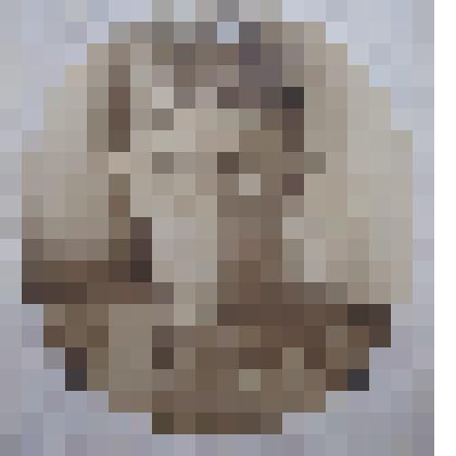 Портрет мужчины в военной форме