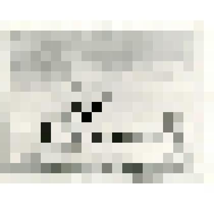 Фотокопия. Картина «Отъезд Э. Толля на Новосибирские острова».Автор Кандинский В.А