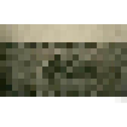 Фотография. Якут, стреляющий из кремневого оружия на фоне своего посева