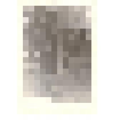 Фотография. Памятник красным партизанам в с.Кривое Панкрушихинского района Алтайского края