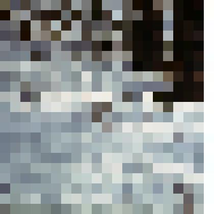 Слайд. Птицы Южной Якутии - рябчик