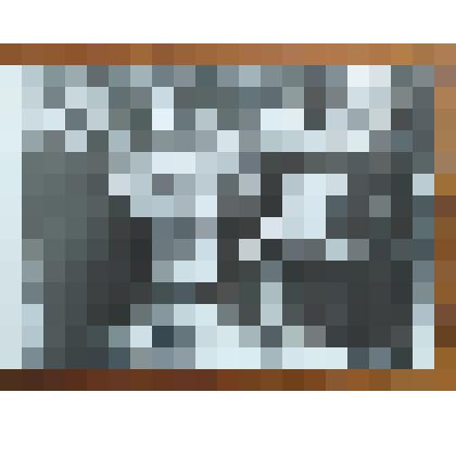 Фотография А.И. Ревякина на могиле внучки А.Н.Островского