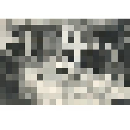 Фотография ч/б, празднование 50-летия Победы в городской библиотеке