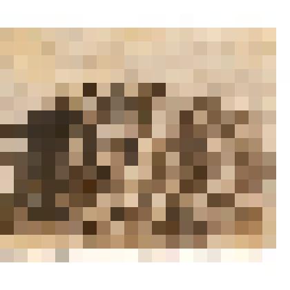 Ф/чб. Банников Юра (2 ряд 5 слева) в группе детей и воспитателей в доме отдыха "Просвещенец" Хвалынск.1931