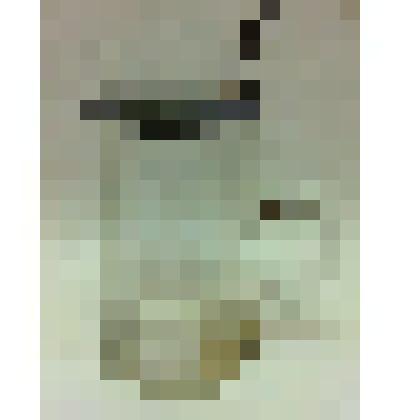 Кружка пивная с крышкой