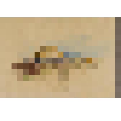 Осенний пейзаж с избой